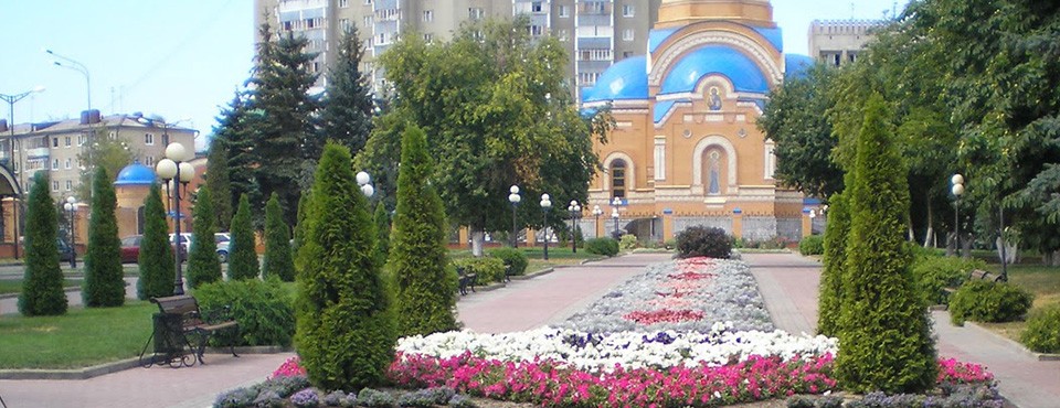 <h6> Содержание городских лесов </h6> Содержание городских лесов