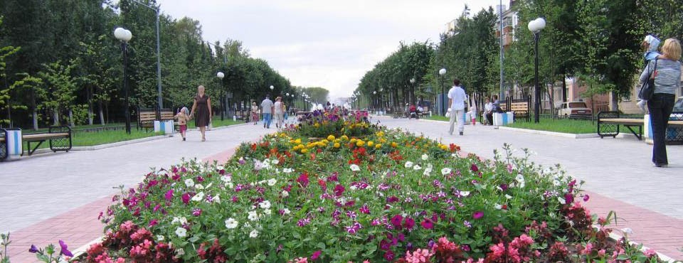 <h6> Выполнение всех видов озеленительных работ, уборка территорий парков, скверов, бульваров и придорожных газонов </h6> Выполнение всех видов озеленительных работ, уборка территорий парков, скверов, бульваров и придорожных газонов